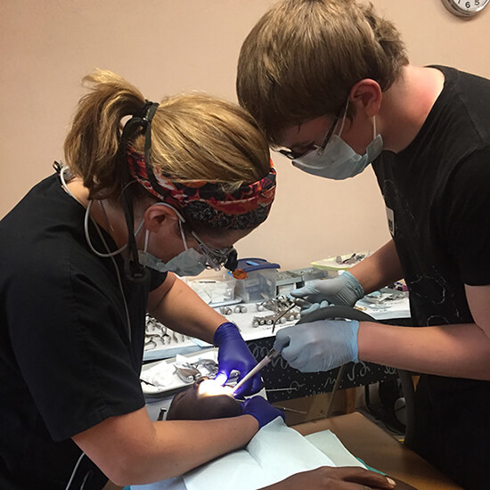 Our team caring for a patient in the dental chair